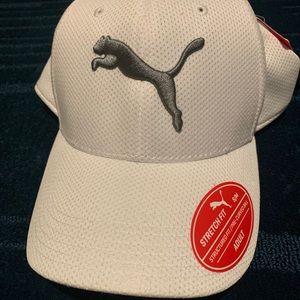Puma hat